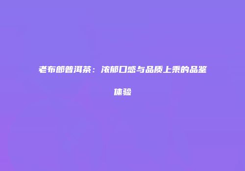 老布郎普洱茶：浓郁口感与品质上乘的品鉴体验