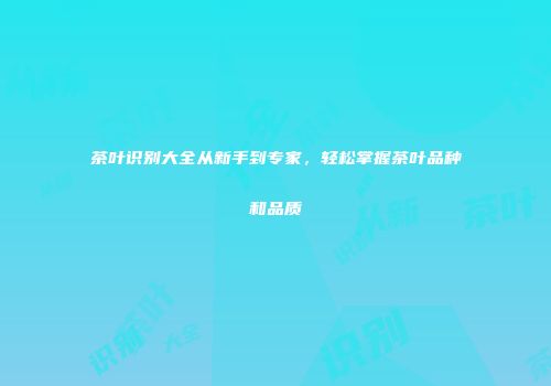 茶叶识别大全从新手到专家，轻松掌握茶叶品种和品质