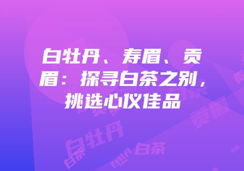白牡丹、寿眉、贡眉：探寻白茶之别，挑选心仪佳品