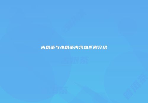 古树茶与小树茶内含物区别介绍