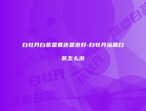 白牡丹白茶是煮还是泡好-白牡丹福鼎白茶怎么泡