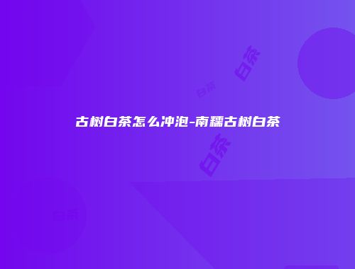 古树白茶怎么冲泡-南糯古树白茶