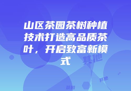 山区茶园茶树种植技术打造高品质茶叶，开启致富新模式