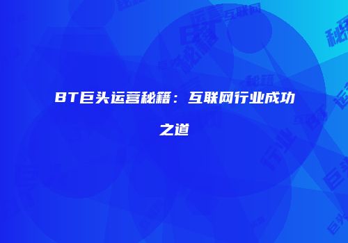 BT巨头运营秘籍：互联网行业成功之道