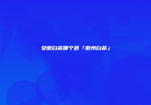 安徽白茶哪个县「徽州白茶」