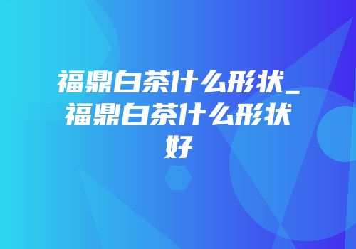 福鼎白茶什么形状_福鼎白茶什么形状好