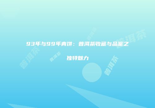 93年与99年青饼：普洱茶收藏与品鉴之独特魅力