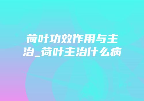 荷叶功效作用与主治_荷叶主治什么病