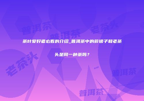 茶叶爱好者必看的介绍_普洱茶中的碎银子和老茶头是同一种茶吗？
