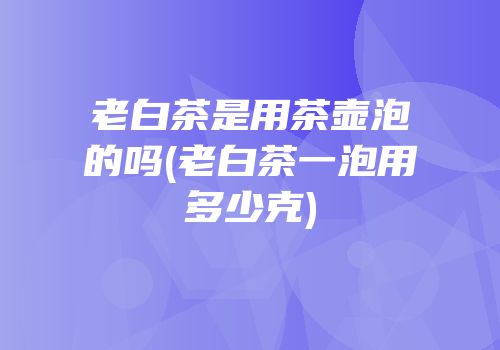 老白茶是用茶壶泡的吗(老白茶一泡用多少克)