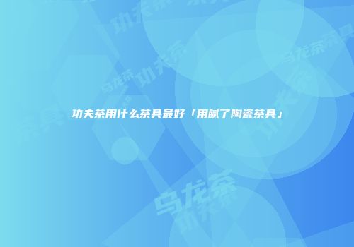 功夫茶用什么茶具最好「用腻了陶瓷茶具」