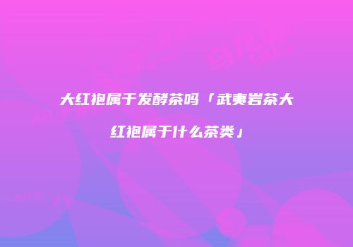 大红袍属于发酵茶吗「武夷岩茶大红袍属于什么茶类」
