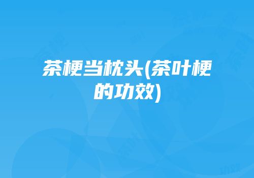 茶梗当枕头(茶叶梗的功效)