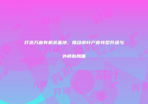 打造万亩有机茶基地，推动茶叶产业转型升级与外销新局面