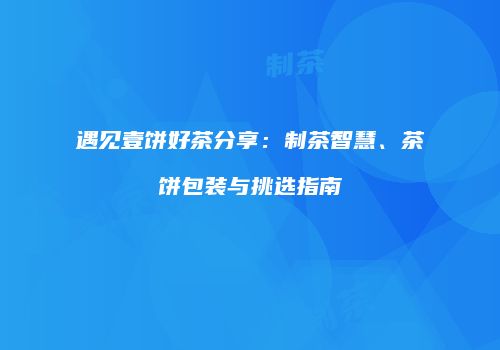 遇见壹饼好茶分享：制茶智慧、茶饼包装与挑选指南