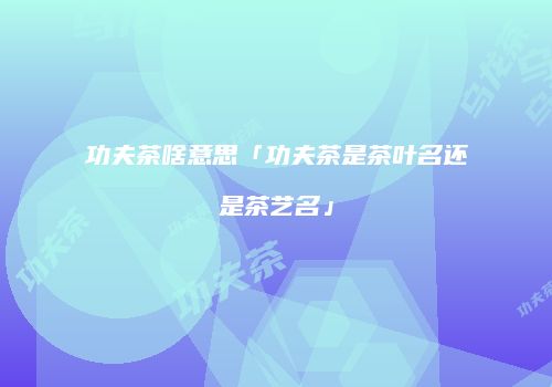 功夫茶啥意思「功夫茶是茶叶名还是茶艺名」