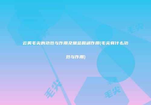 云雾毛尖的功效与作用及禁忌和副作用(毛尖有什么功效与作用)