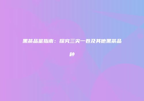 黑茶品鉴指南：探究三尖一卷及其他黑茶品种