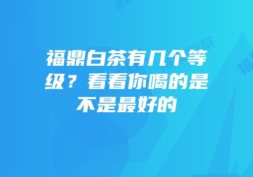 福鼎白茶有几个等级？看看你喝的是不是最好的