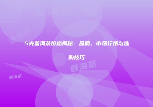 5克普洱茶价格揭秘：品质、市场行情与选购技巧