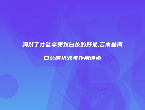 喝对了才能享受到白茶的好处,云南普洱白茶的功效与作用详解