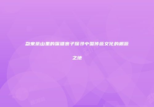 勐宋茶山里的保塘寨子探寻中国传统文化的根源之地