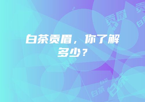 白茶贡眉，你了解多少？
