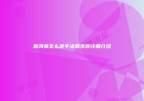 普洱茶怎么泡手法和步骤详细介绍