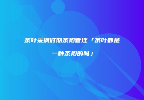 茶叶采摘时期茶树管理「茶叶都是一种茶树的吗」