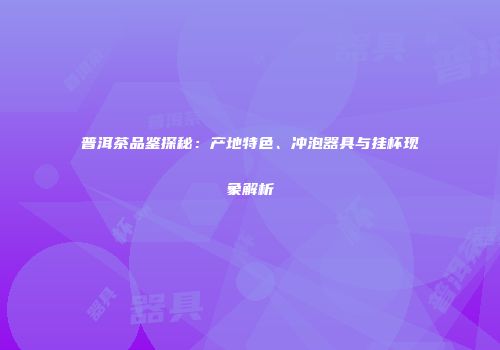 普洱茶品鉴探秘：产地特色、冲泡器具与挂杯现象解析