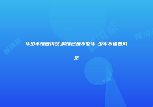 年少不懂普洱茶,喝懂已是不惑年-少年不懂普洱茶