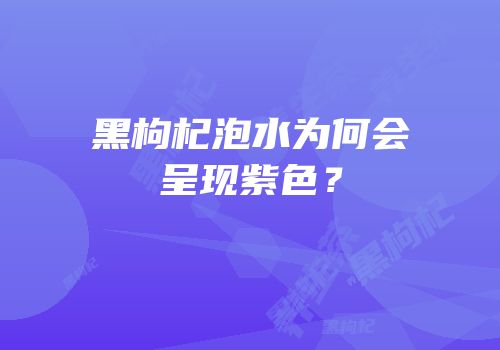 黑枸杞泡水为何会呈现紫色？