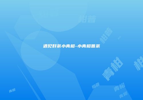 遇见好茶小青柑-小青柑普茶