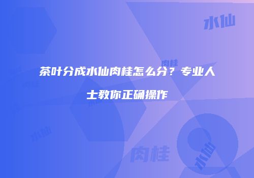 茶叶分成水仙肉桂怎么分？专业人士教你正确操作