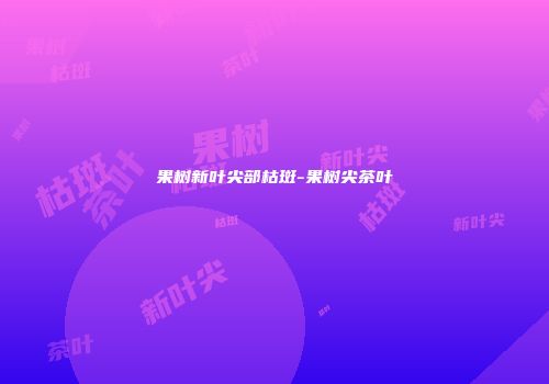 果树新叶尖部枯斑-果树尖茶叶