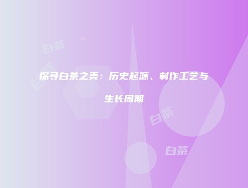 探寻白茶之美：历史起源、制作工艺与生长周期