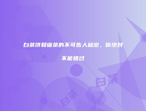 白茶饼和宿茶的不可告人秘密，你绝对不能错过