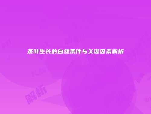 茶叶生长的自然条件与关键因素解析
