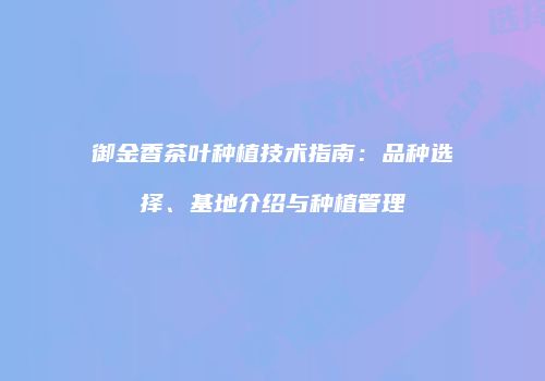 御金香茶叶种植技术指南：品种选择、基地介绍与种植管理