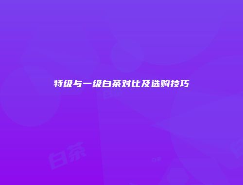 特级与一级白茶对比及选购技巧