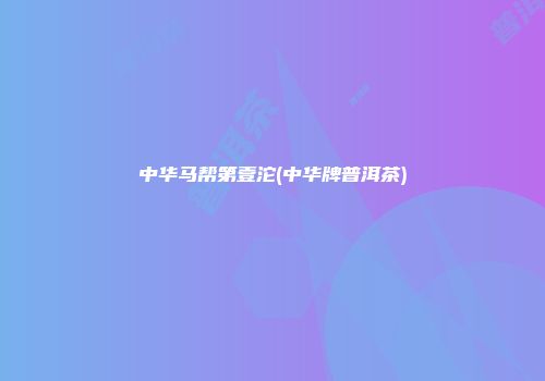 中华马帮第壹沱(中华牌普洱茶)