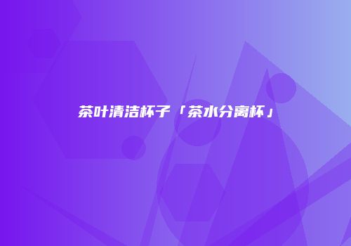 茶叶清洁杯子「茶水分离杯」