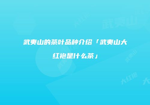 武夷山的茶叶品种介绍「武夷山大红袍是什么茶」