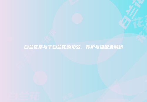 白兰花茶与干白兰花的功效、养护与搭配全解析