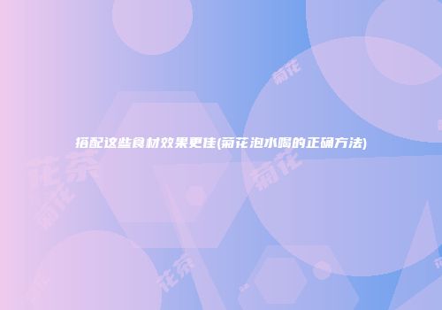 搭配这些食材效果更佳(菊花泡水喝的正确方法)