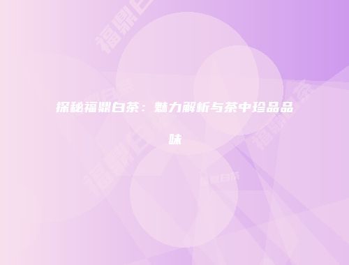 探秘福鼎白茶：魅力解析与茶中珍品品味