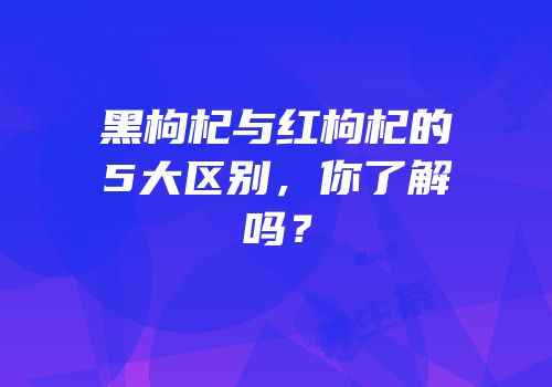 黑枸杞与红枸杞的5大区别，你了解吗？