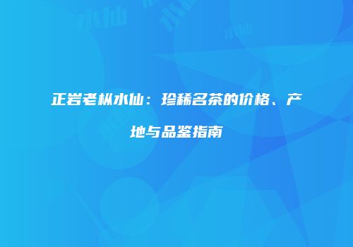 正岩老枞水仙：珍稀名茶的价格、产地与品鉴指南