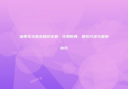 信阳毛尖新茶知识全解：饮用时间、保存方法与鉴别技巧