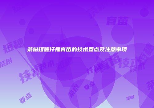 茶树短穗扦插育苗的技术要点及注意事项